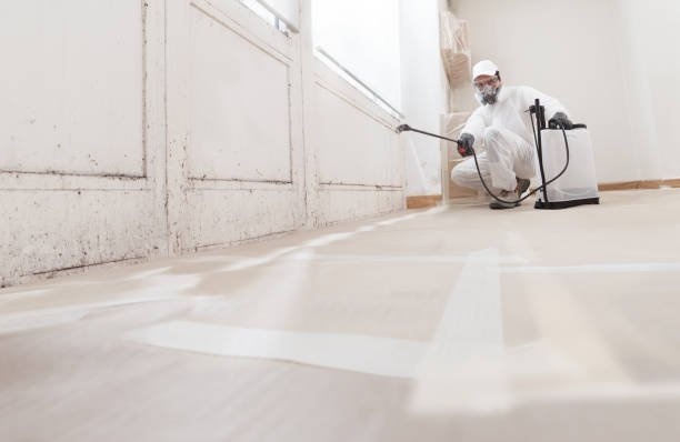 24/7 Emergency Attic Mold Remediation experts in Fountain Hills, AZ